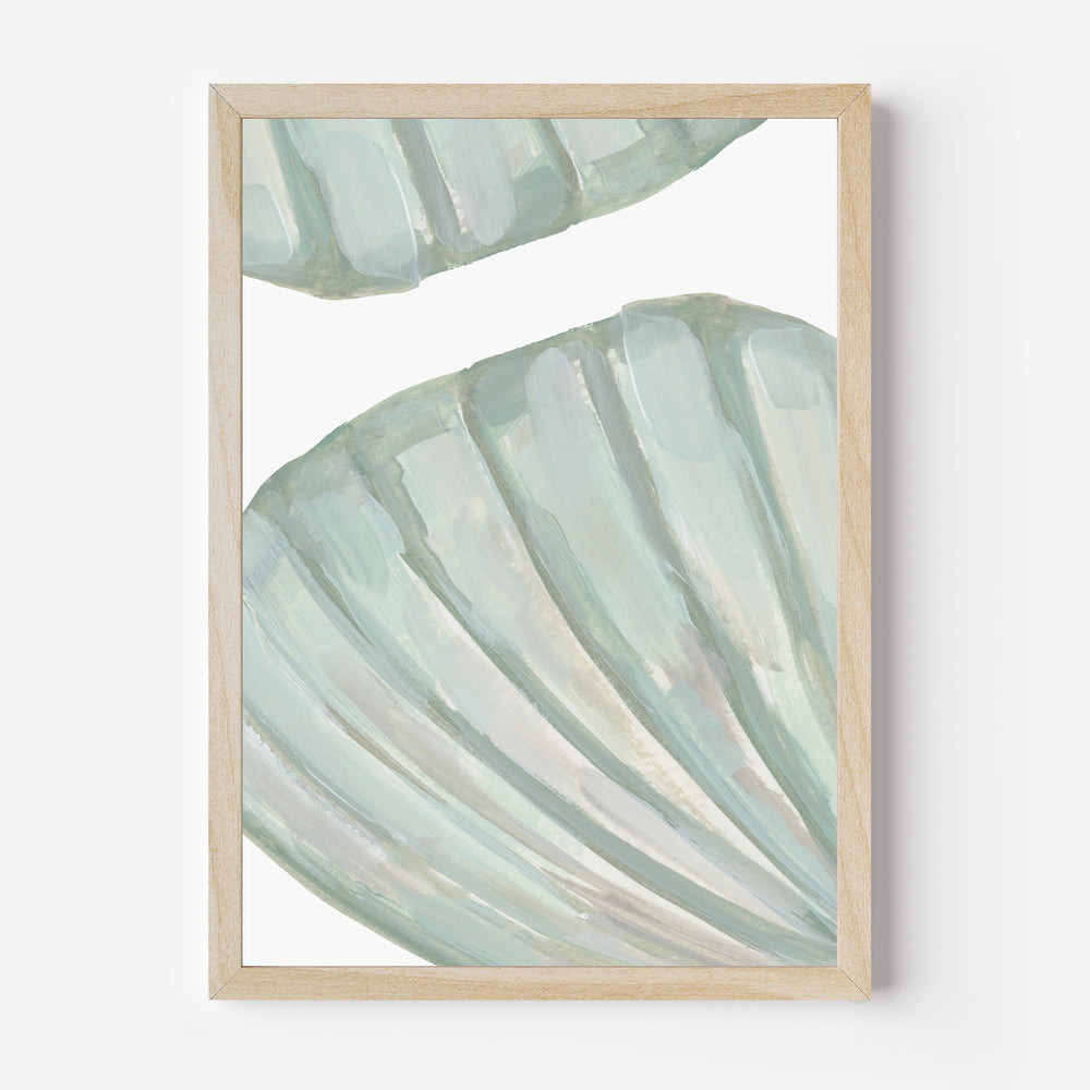Seashell Forms - Jetty Home