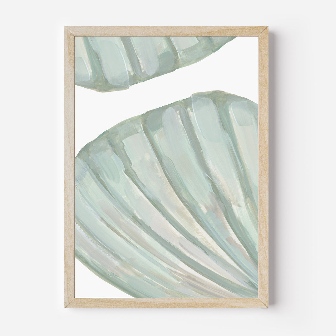 Seashell Forms - Jetty Home