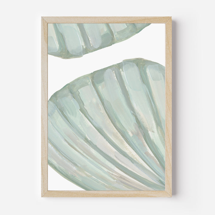 Seashell Forms - Jetty Home