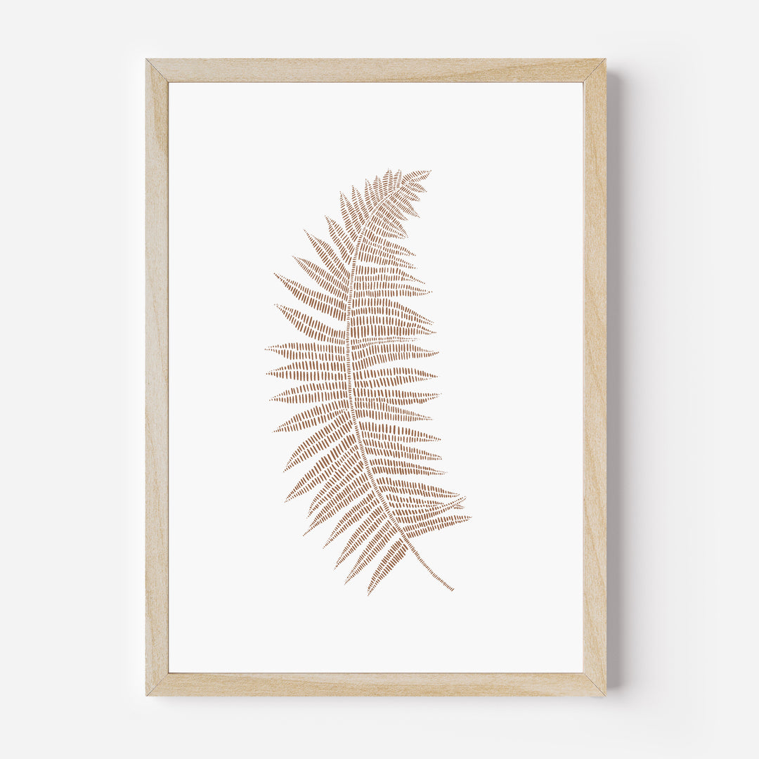 Fern Botanical Drawing