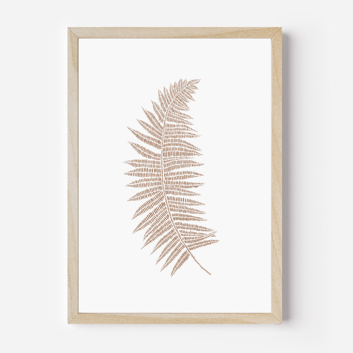 Fern Botanical Drawing