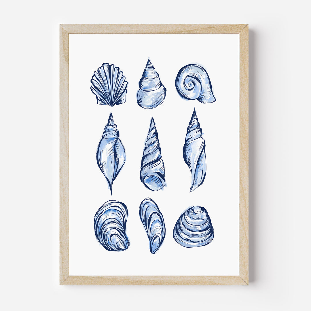 Blue Shell Study - Jetty Home