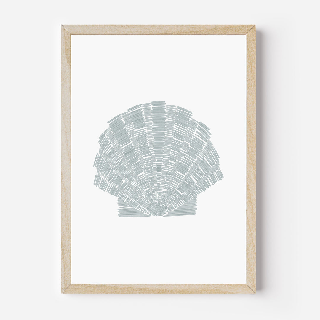 Deconstructed Scallop Shell - Art Print or Canvas - Jetty Home