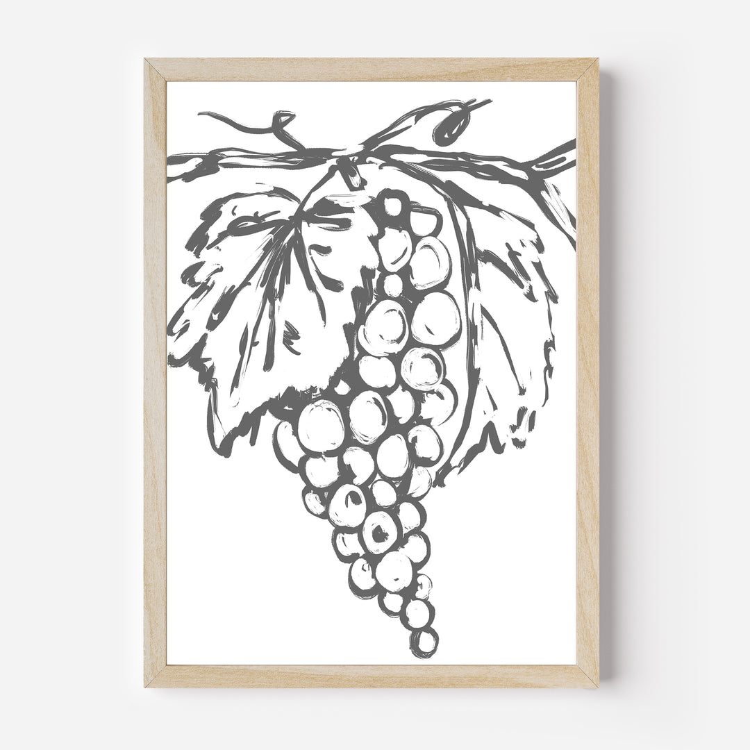 Grape Vines - Jetty Home