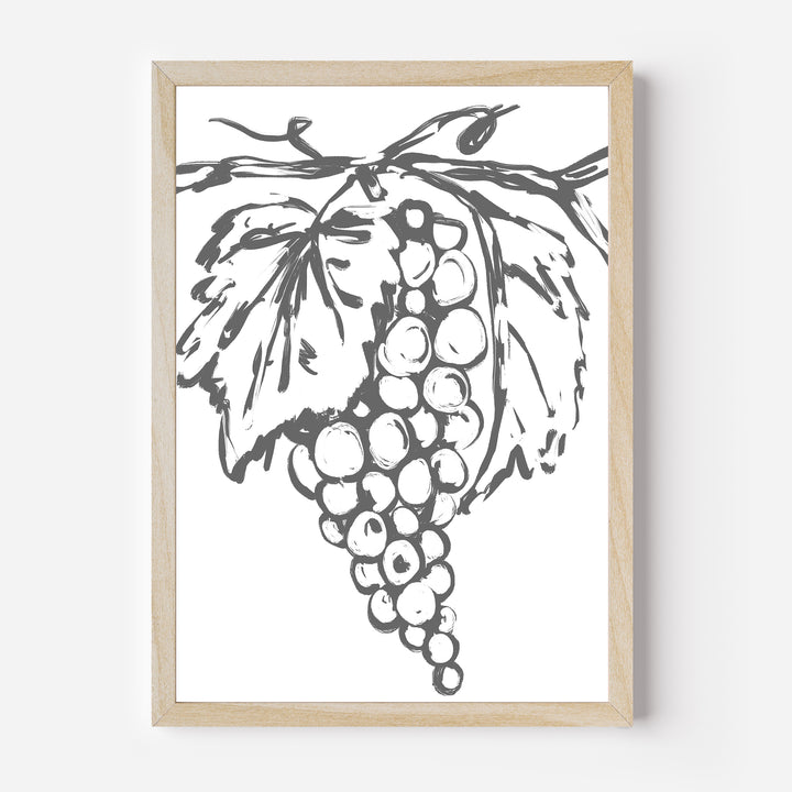 Grape Vines - Jetty Home