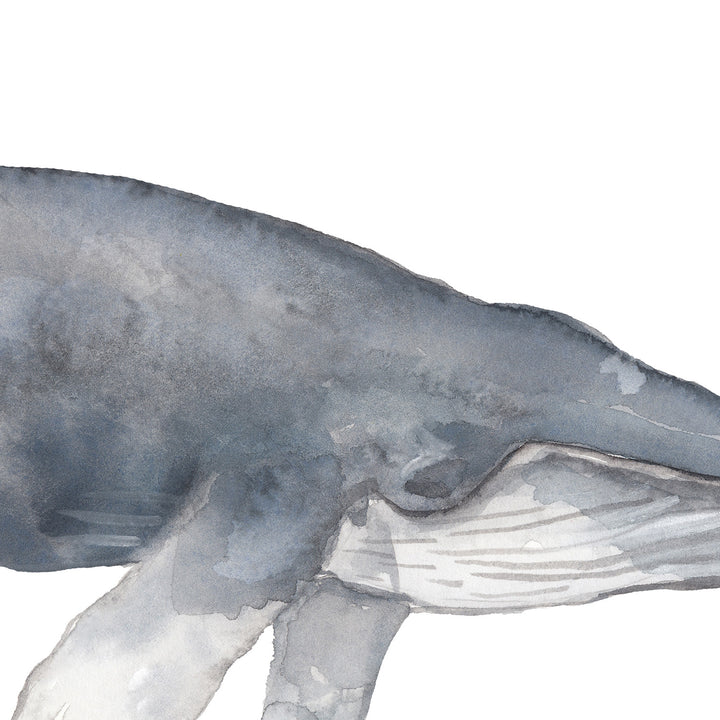 Watercolor Humpback Whale Painting - Jetty Home