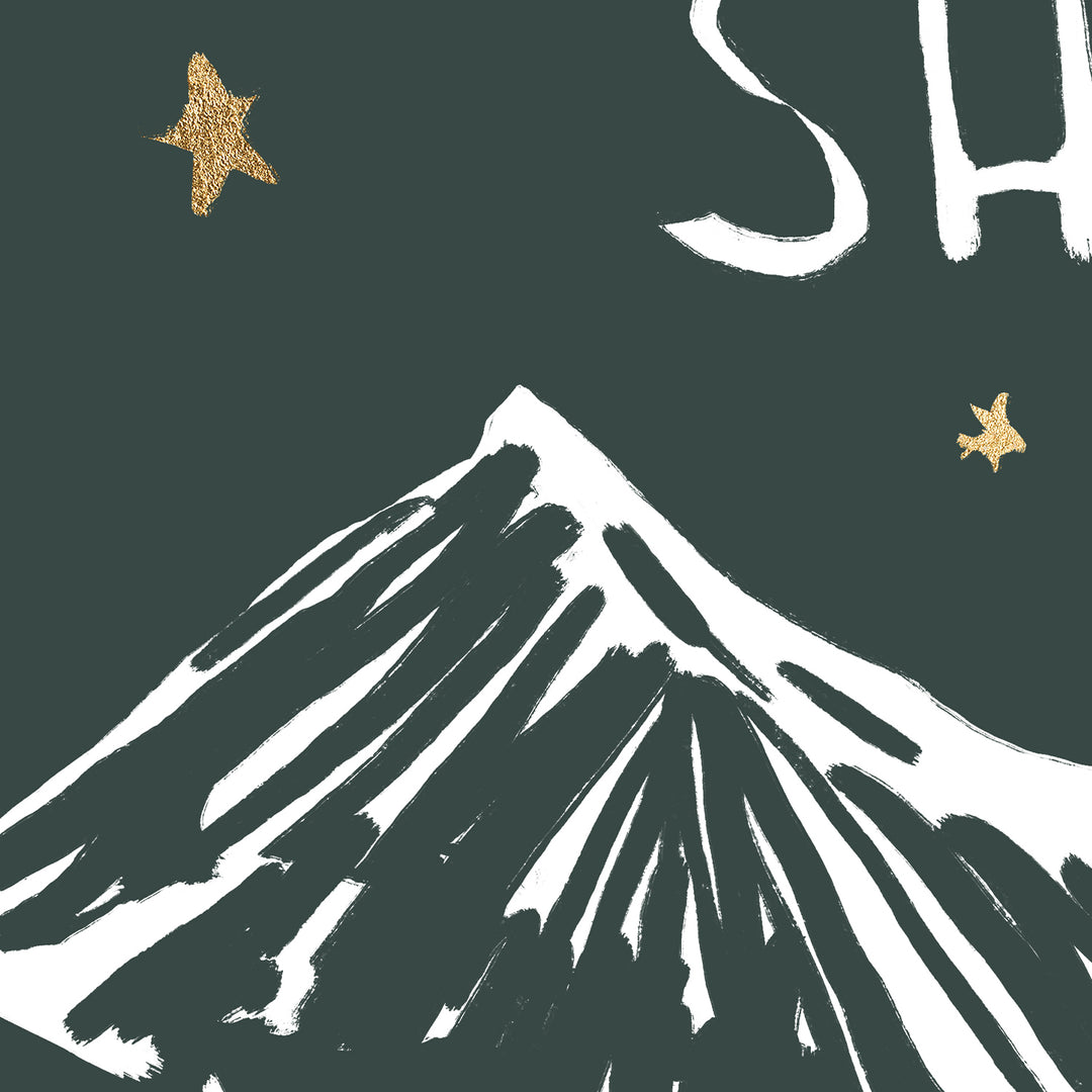 The Stars Are Brightly Shining - Jetty Home
