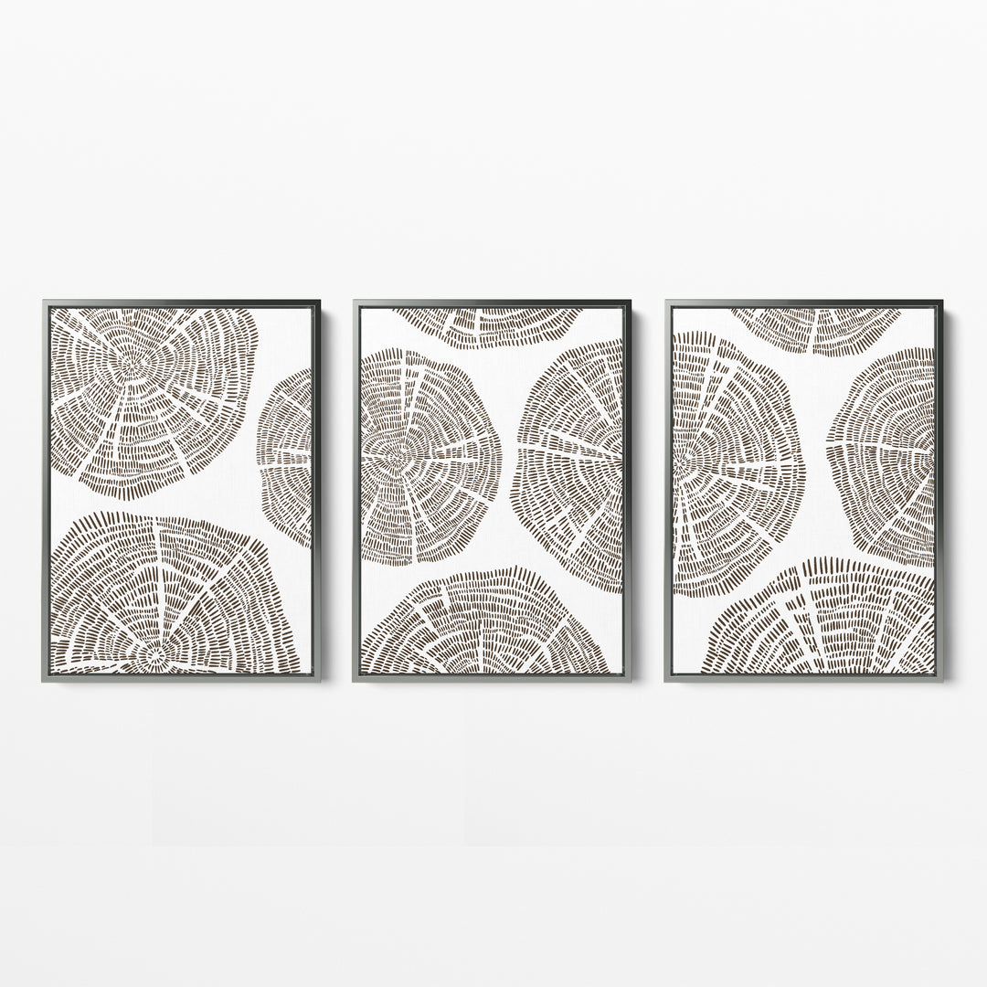 Tree Growth Rings - Set of 3  - Art Prints or Canvases - Jetty Home