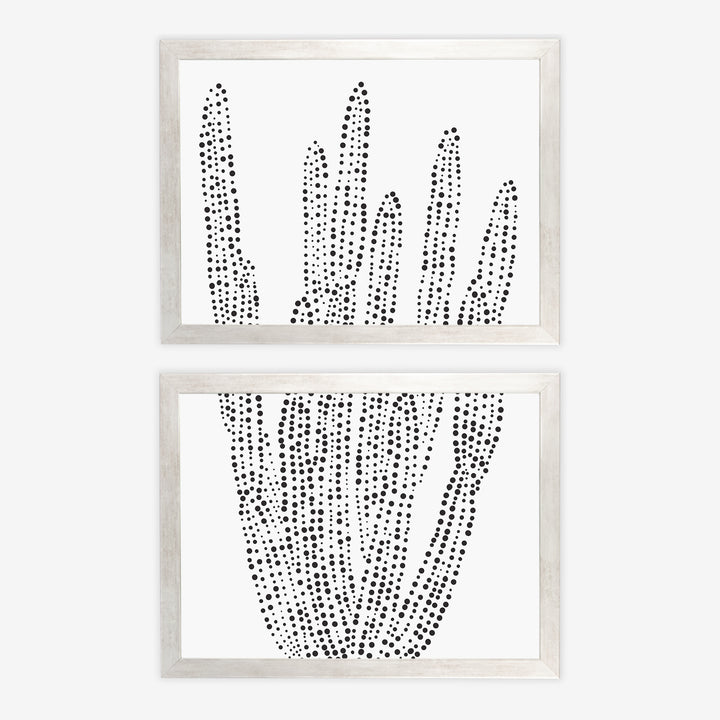 Organ Pipe Cactus - Set of 2