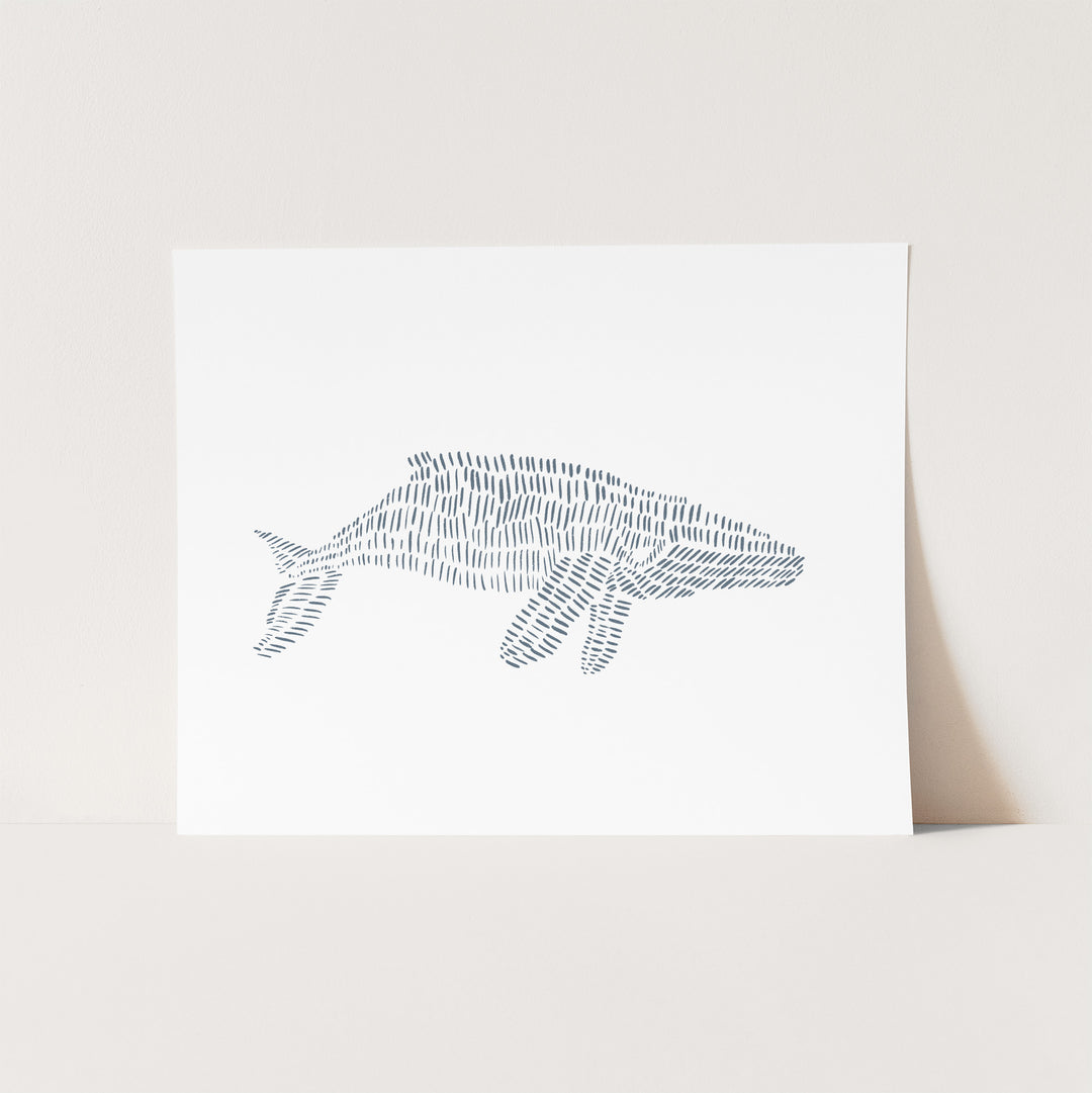Humpback Whale Illustration  - Art Print or Canvas - Jetty Home