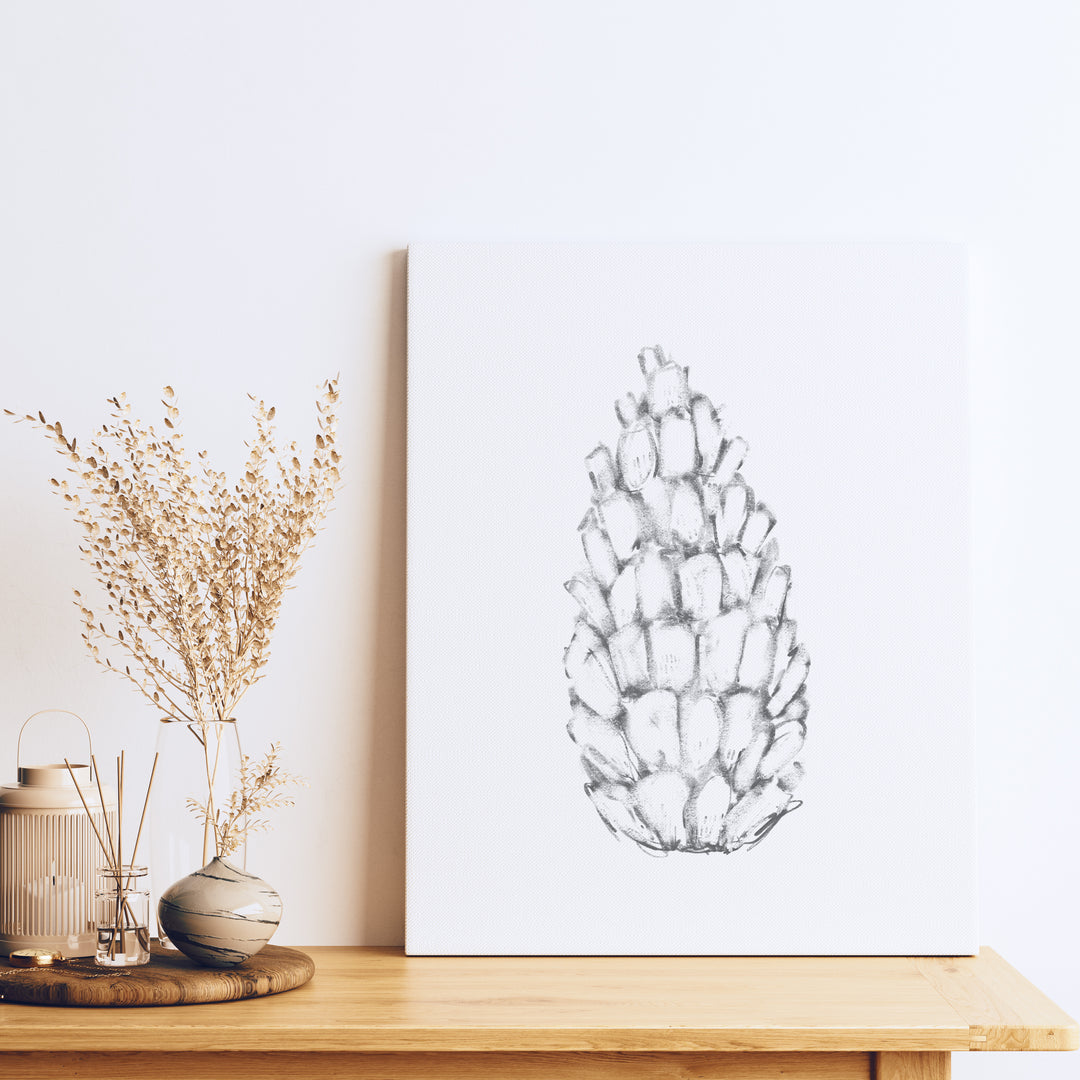 Pine Cone Illustration