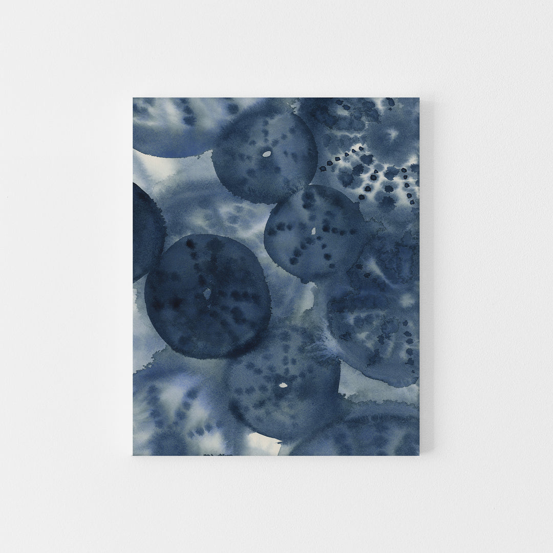 The Sea Urchins