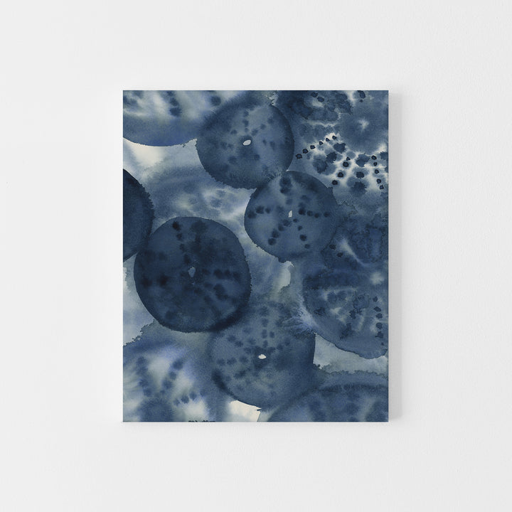The Sea Urchins