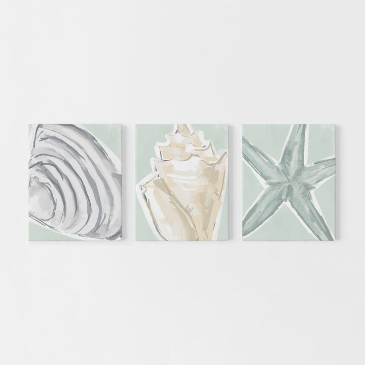 Coastal Finds Triptych - Set of 3