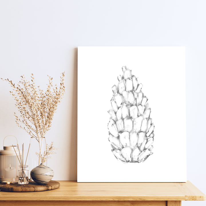 Pine Cone Illustration - Jetty Home