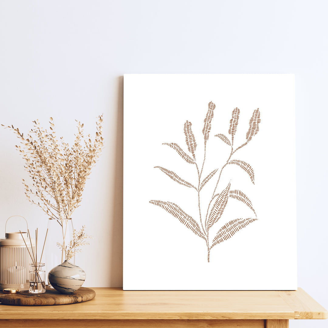 Buckwheat Botanical Drawing