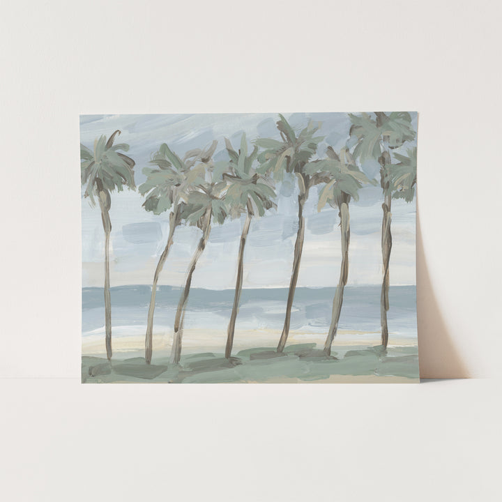 Beach Palm Row