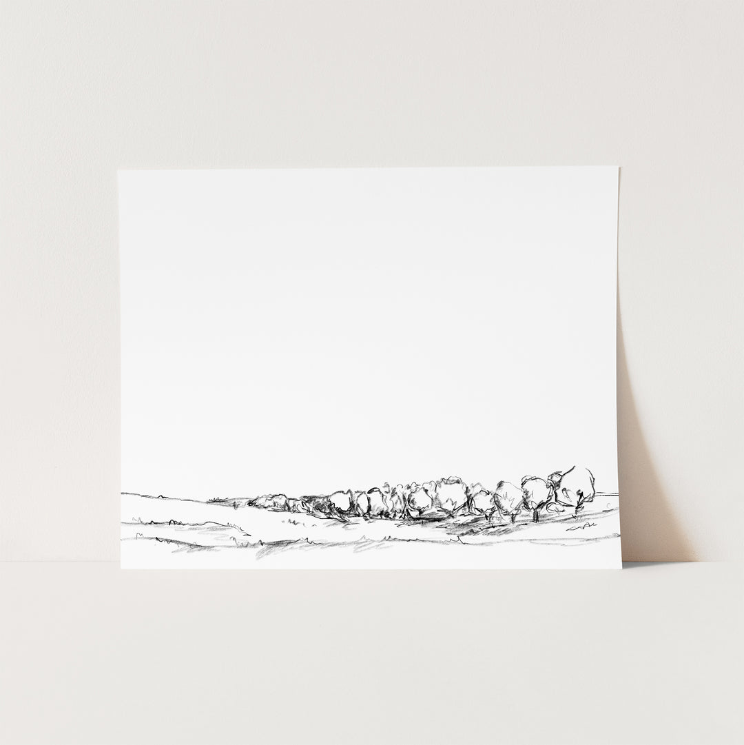 The Meadow Landscape Illustration - Jetty Home
