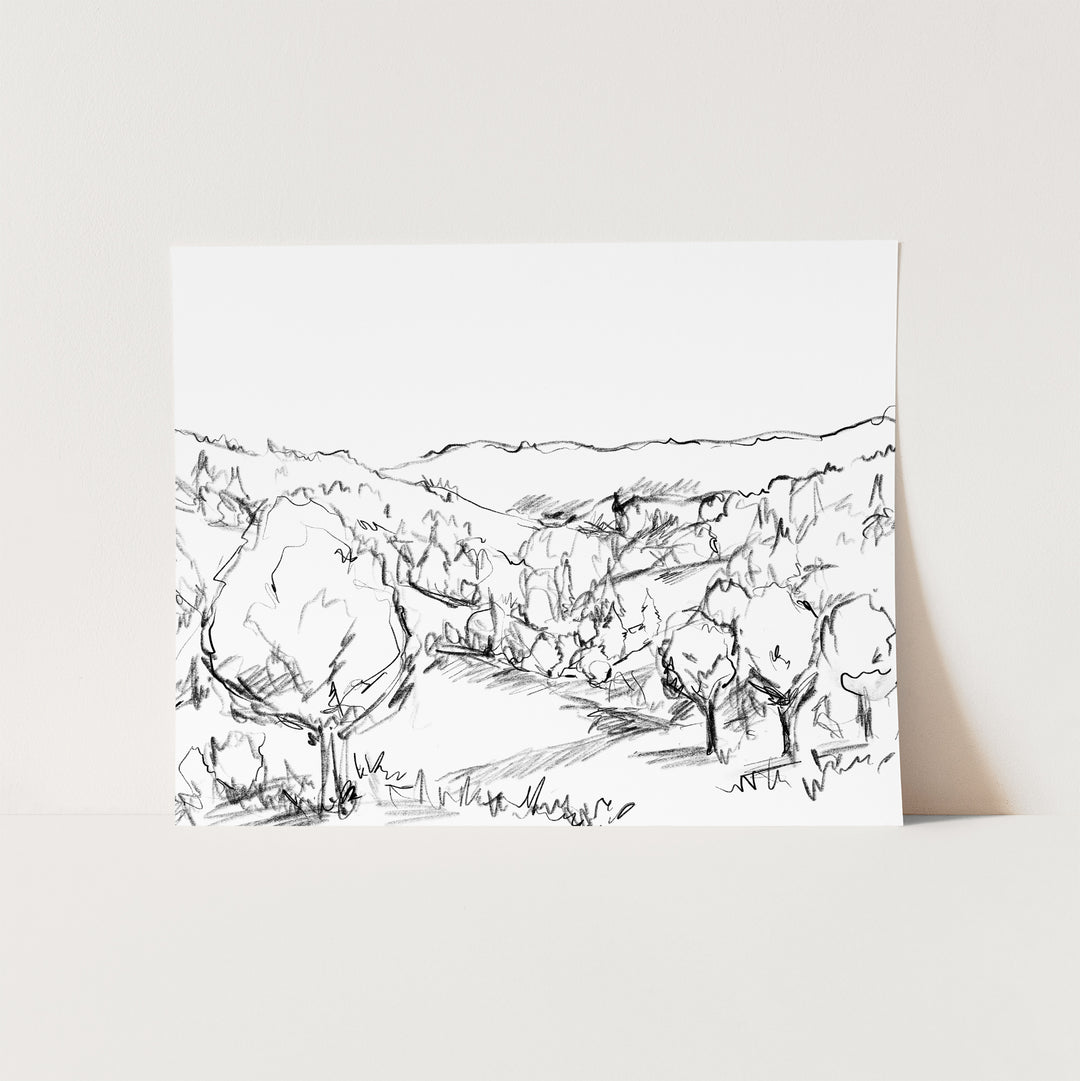 Forest Views Illustration - Jetty Home