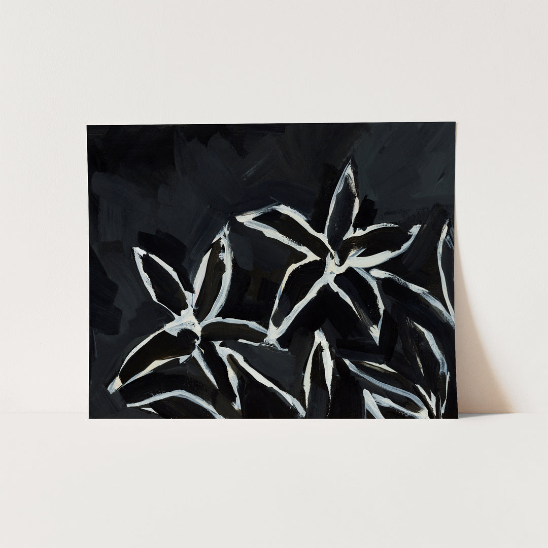 Black & Cream Lilies - Jetty Home