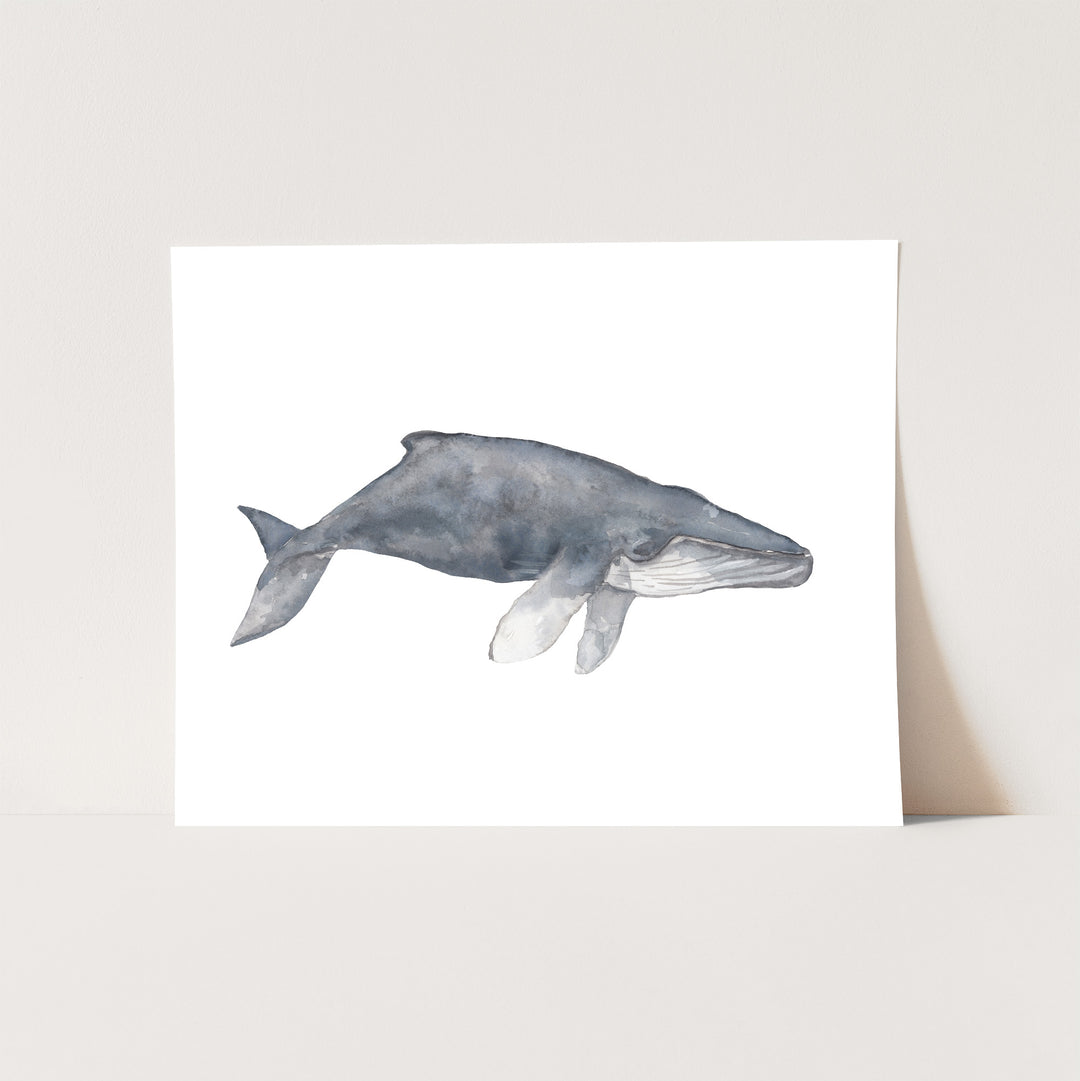 Watercolor Humpback Whale Painting - Jetty Home