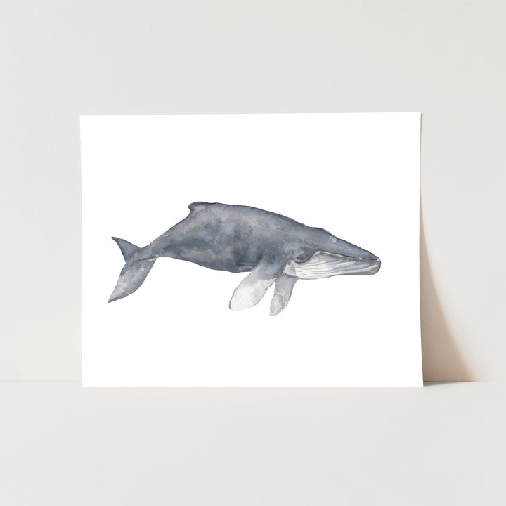 Watercolor Humpback Whale Painting - Jetty Home