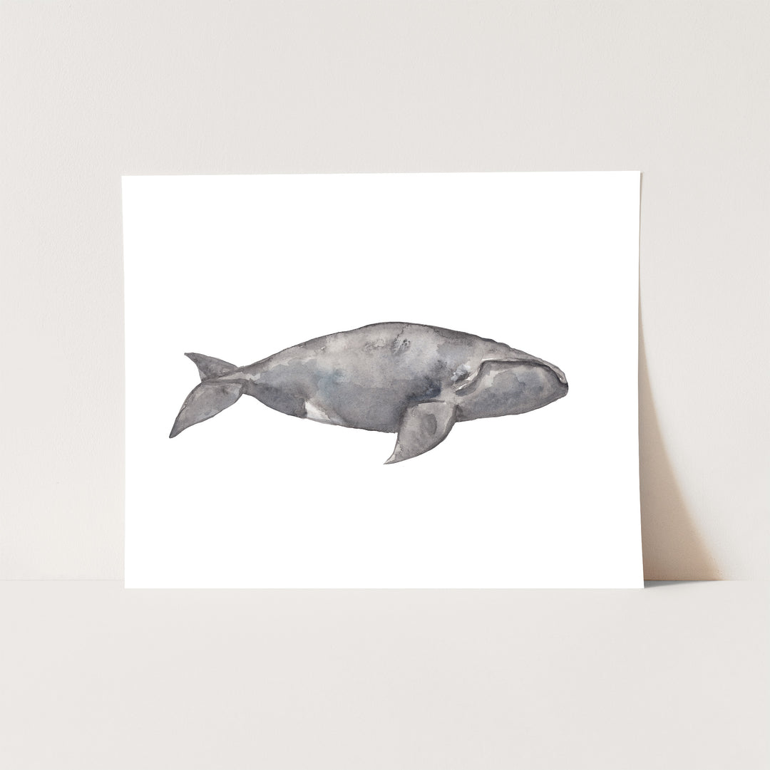 Watercolor Right Whale Painting - Jetty Home