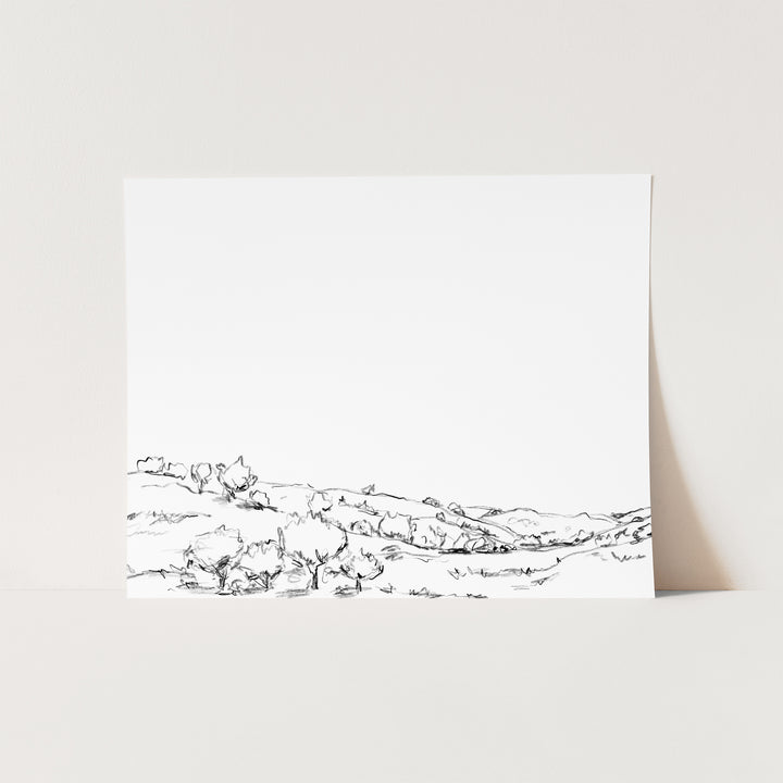 The Hillside Oak Trees Illustrations - Jetty Home