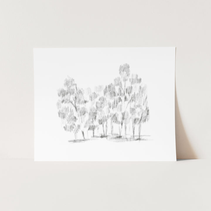 Dappled Hallow - Jetty Home