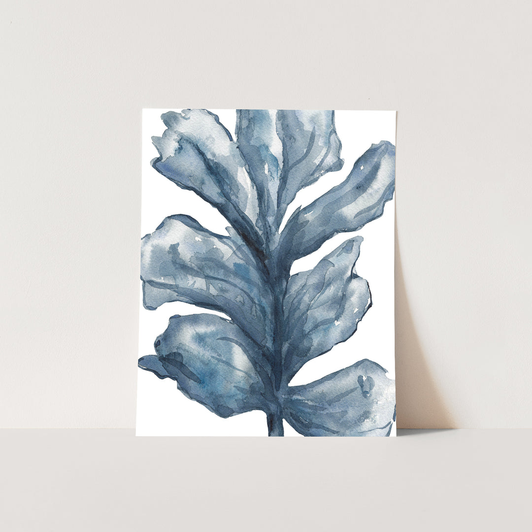 Blue Sea Lettuce Watercolor No. 1 - Jetty Home