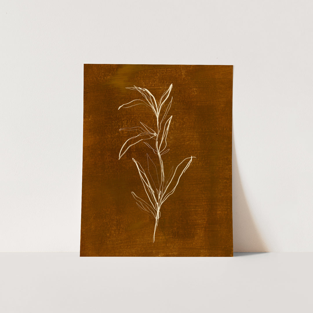 The Cozy Botanicals, No. 3 - Jetty Home