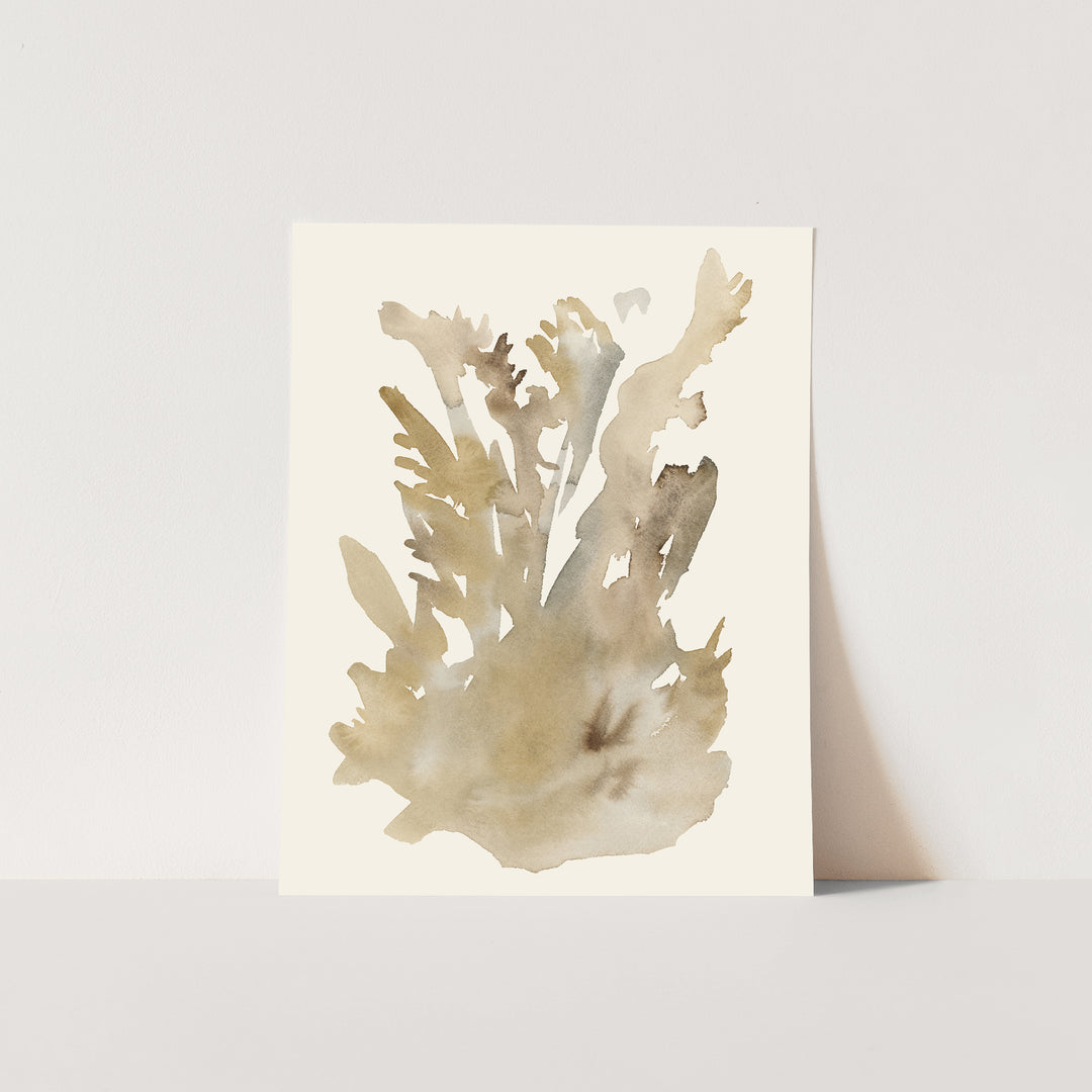 Ethereal Floral, No. 1 - Jetty Home