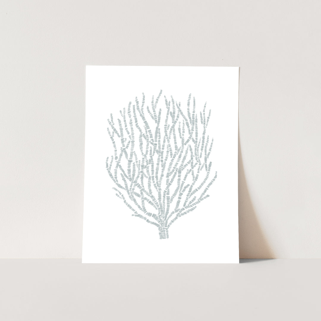 Deconstructed Sea Plant - Jetty Home