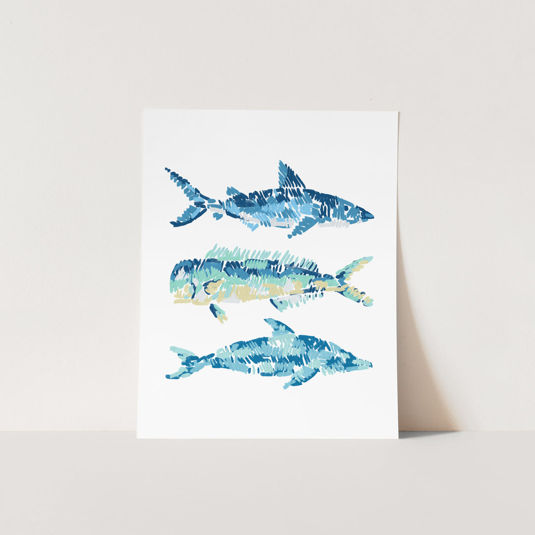 Tropical Sea Life