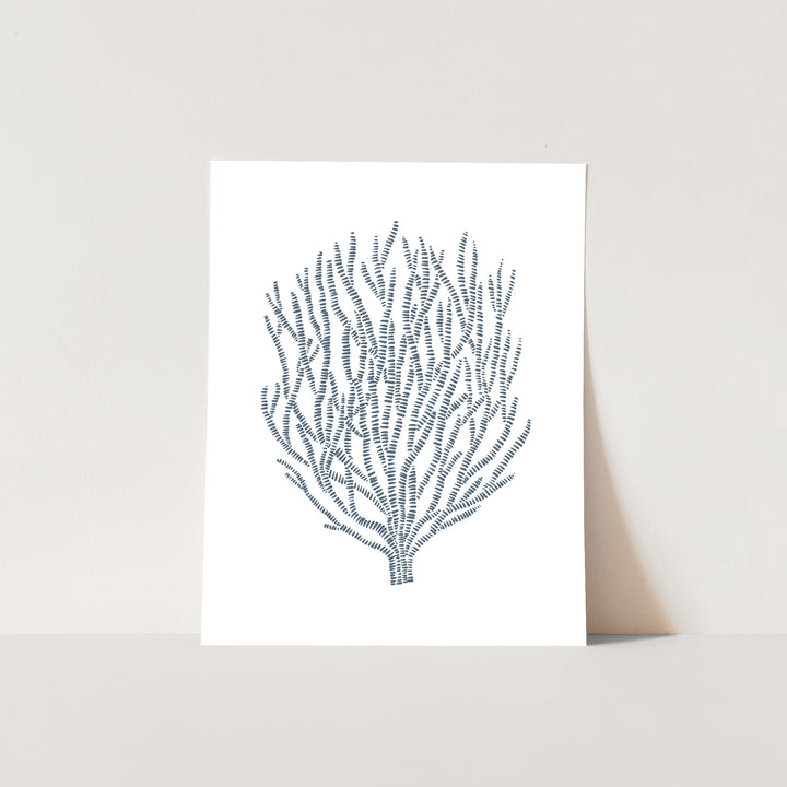 Minimalist Seaweed - Jetty Home