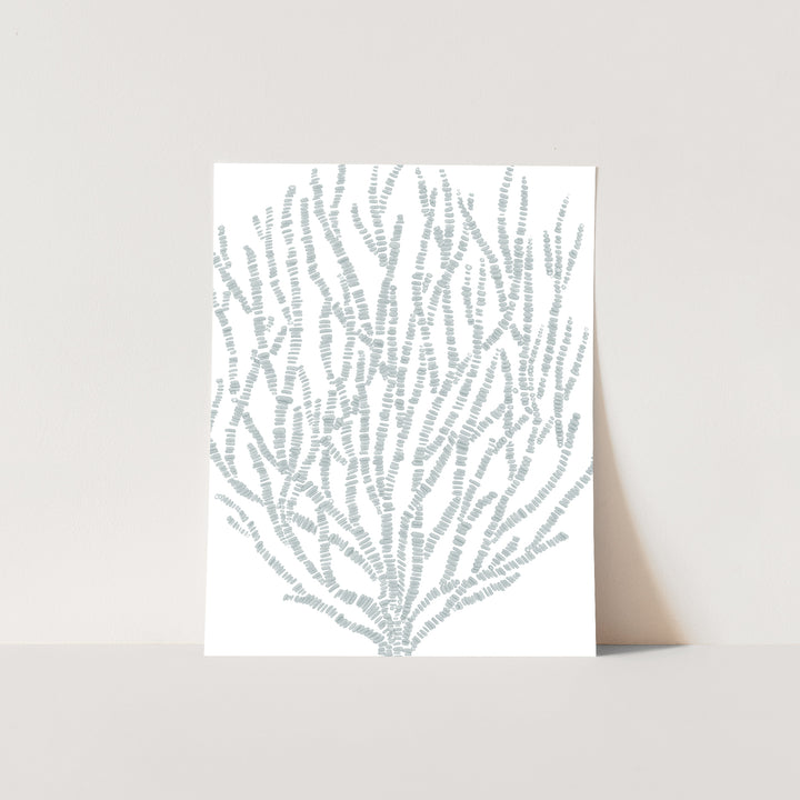 Salty Seaweed Botanical - Jetty Home