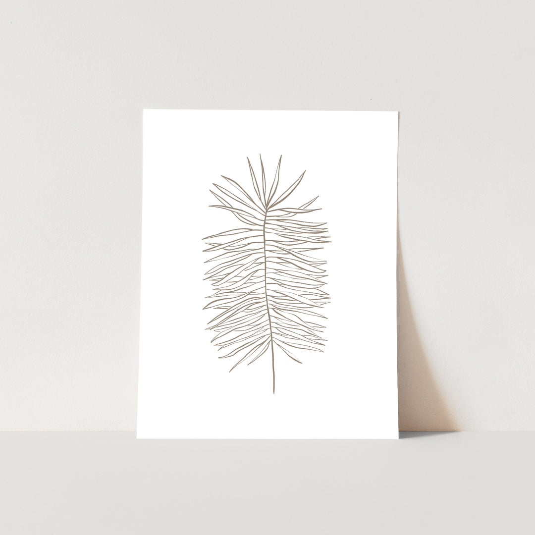 Palm Frond Line Drawing - Jetty Home