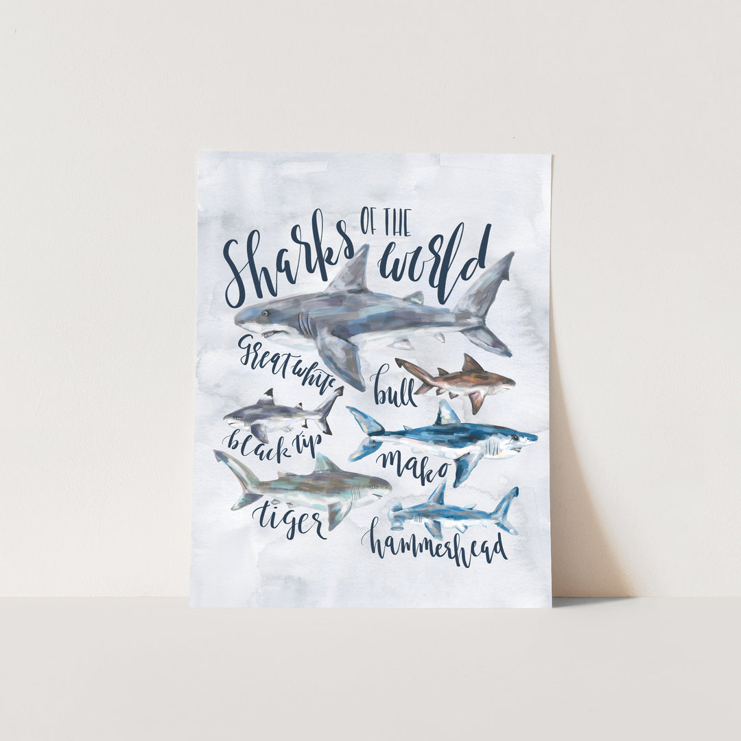 Sharks of the World - Jetty Home