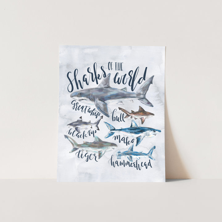 Sharks of the World - Jetty Home
