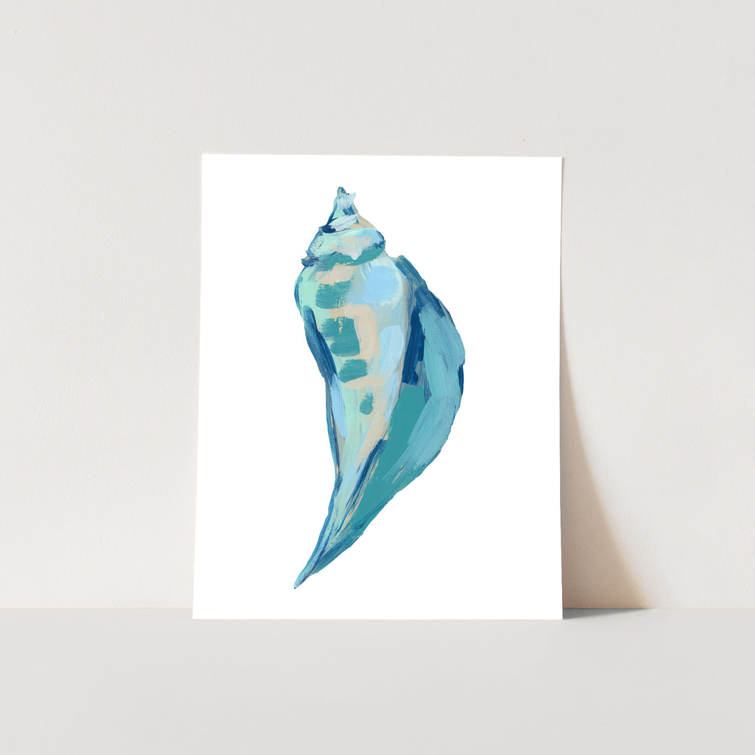 Seashell Finds, No. 1 - Jetty Home