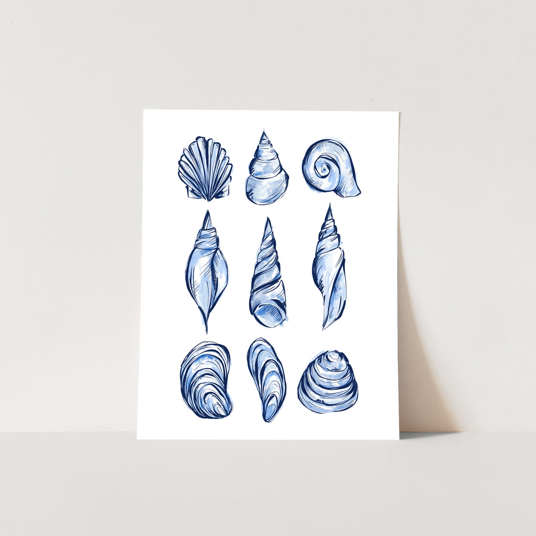 Blue Shell Study - Jetty Home