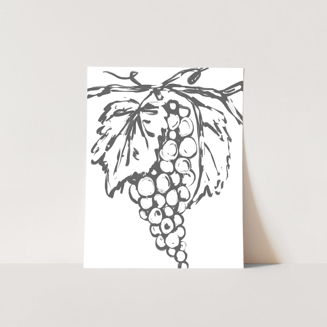 Grape Vines - Jetty Home
