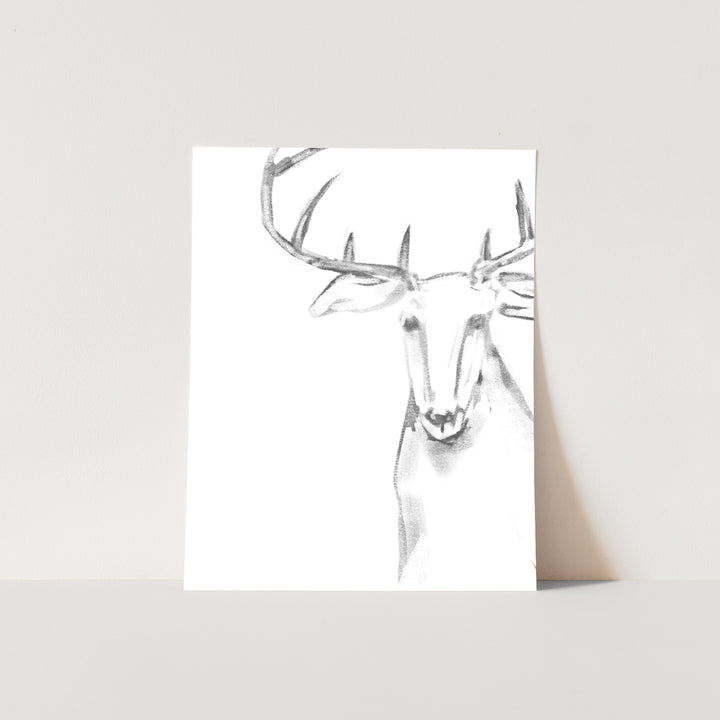 Reindeer Illustration - Jetty Home