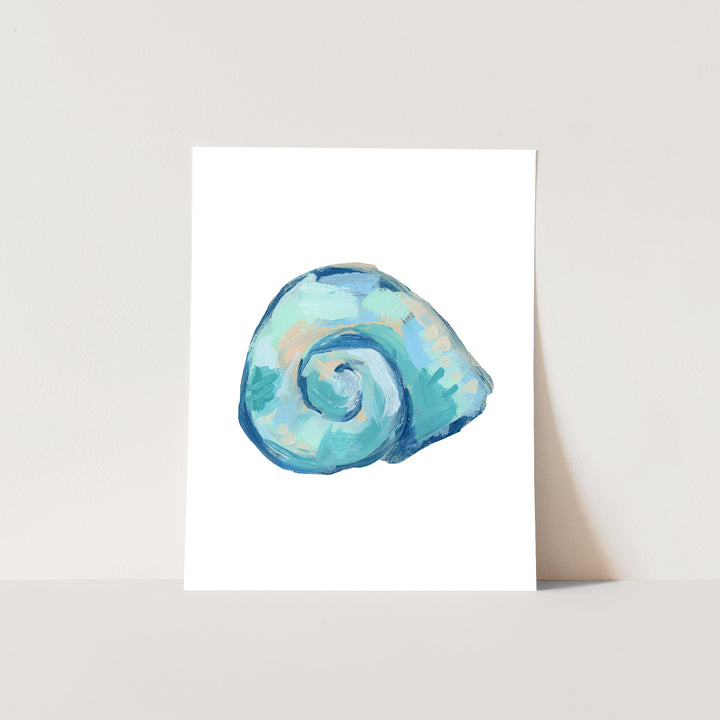 Seashell Finds, No. 5 - Jetty Home