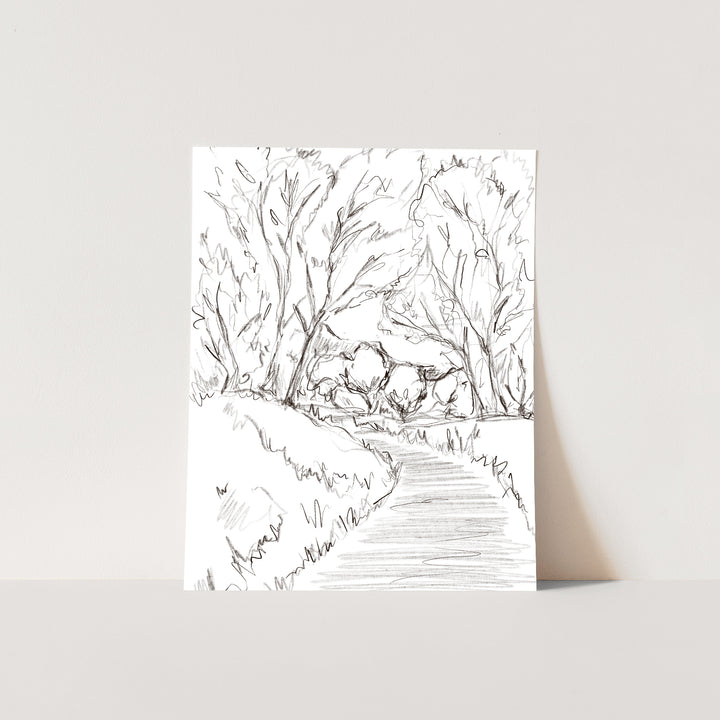 The Forest Path Illustration - Jetty Home