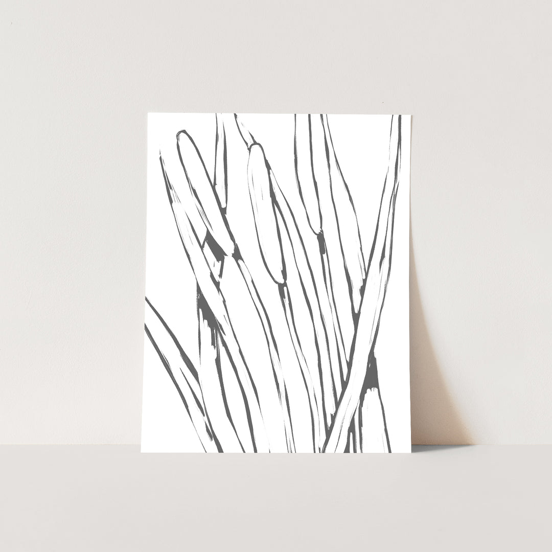 Pond Reed Cattails - Jetty Home