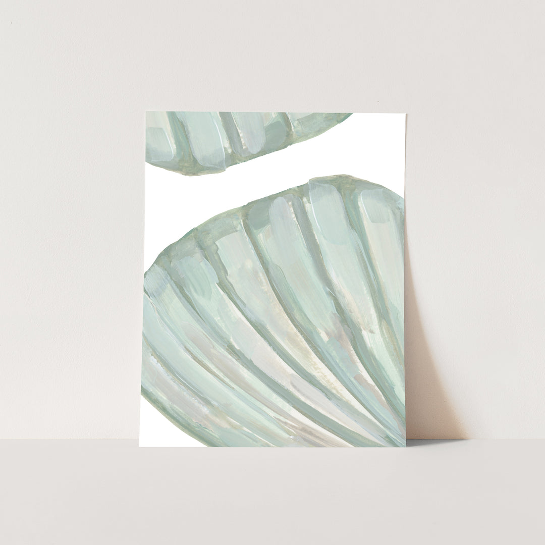 Seashell Forms - Jetty Home