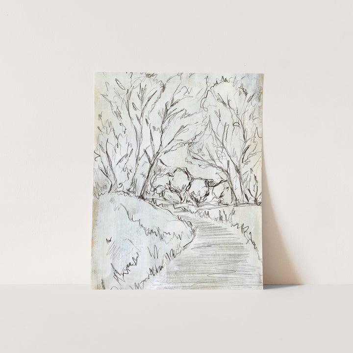 The Forest Path - Jetty Home
