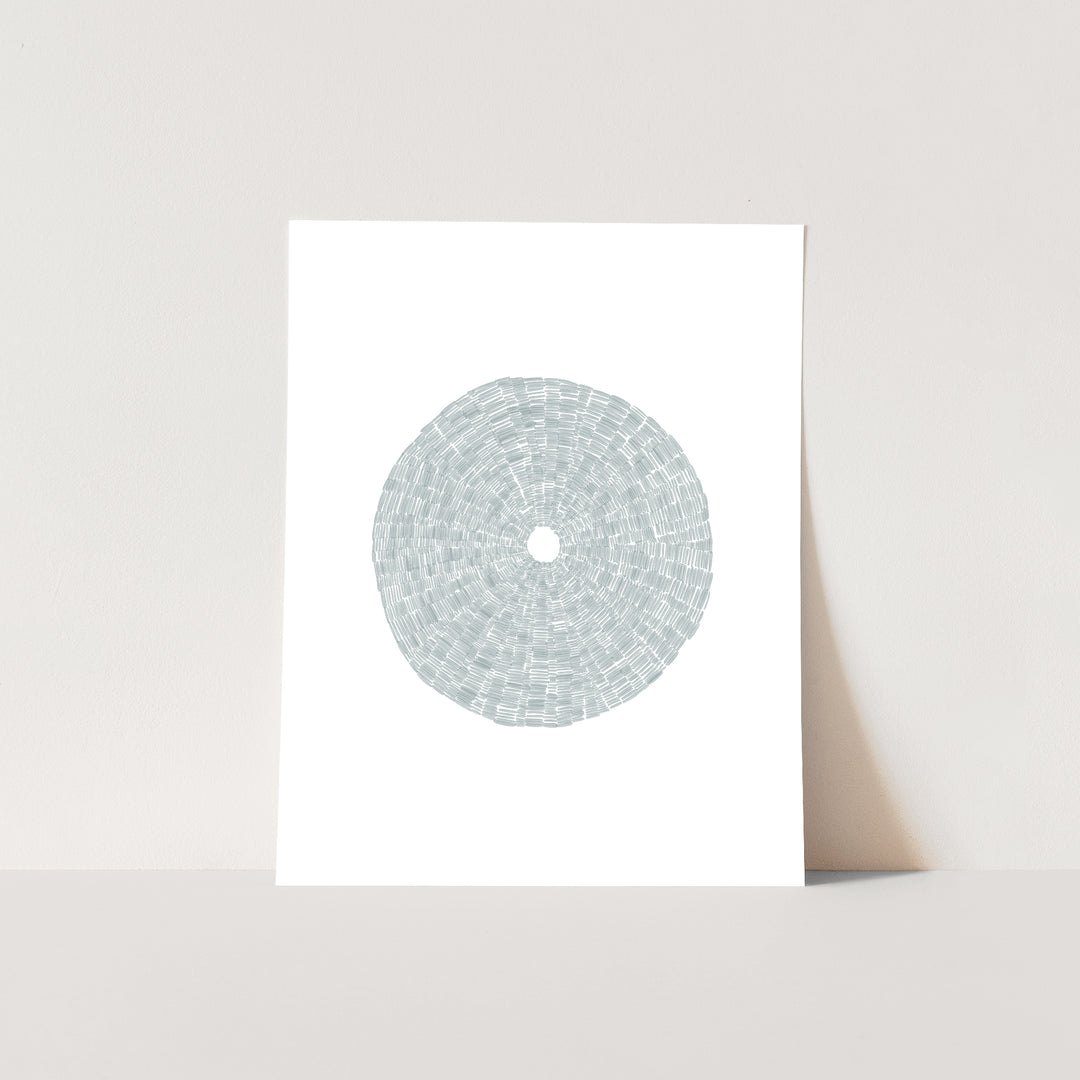 Deconstructed Sea Urchin Shell - Jetty Home
