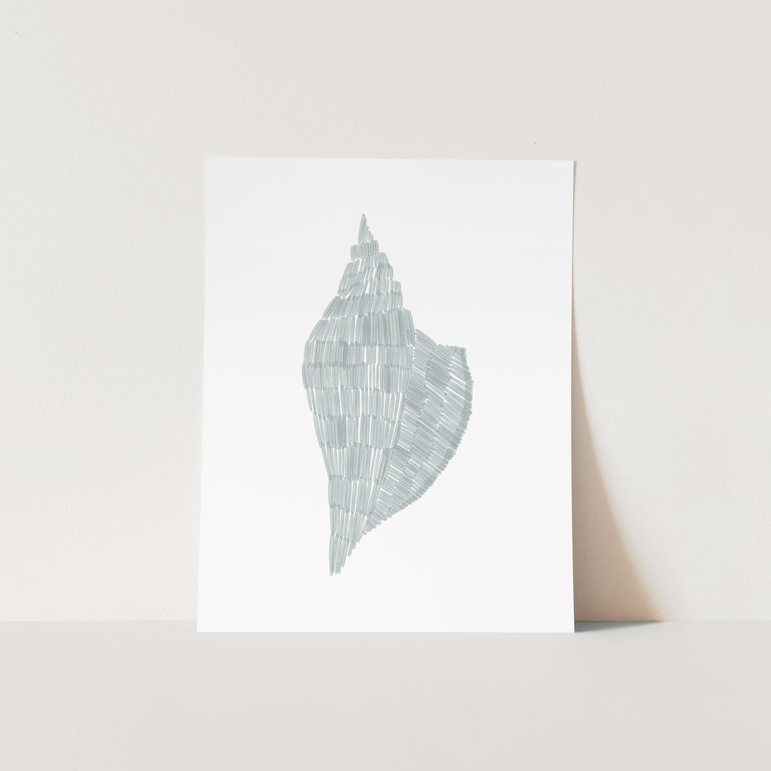 Deconstructed Conch Shell - Art Print or Canvas - Jetty Home